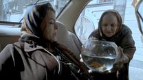 Bild von Taxi Teheran Trailer OmU