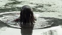 Bild von The Lake on Clinton Road Trailer OV
