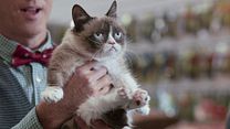 Bild von Grumpy Cat’s miesestes Weihnachtsfest ever Trailer DF