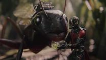 Bild von Honest Trailer - Ant-Man