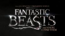 Bild von FANTASTIC BEASTS AND WHERE TO FIND THEM Trailer Announcement