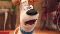 Bild von Pets Trailer (3) DF
