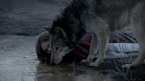 Bild von Wild Trailer (2) DF