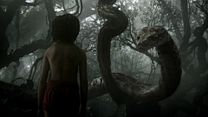 Bild von The Jungle Book Trailer (4) OV