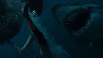 Bild von The Shallows - Gefahr aus der Tiefe Trailer (3) OV