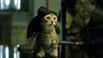 Bild von Knallhart und flauschig: Key & Peele casten Katzen für die Titelrolle in "Keanu" 