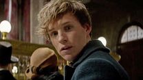 Bild von Phantastische Tierwesen und wo sie zu finden sind Trailer (9) OV