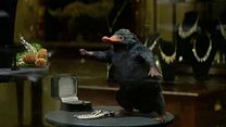Bild von Phantastische Tierwesen und wo sie zu finden sind Trailer (10) OV