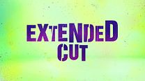 Bild von Suicide Squad Extended Cut