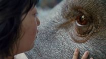 Bild von Okja Teaser DF