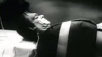 Bild von Abbott und Costello treffen Frankenstein Trailer OV