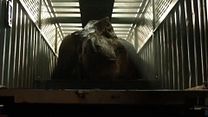 Bild von Jurassic World 2: Das gefallene Königreich Teaser (3) OV