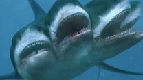 Bild von 5-Headed Shark Attack Trailer OV