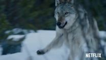 Wolfsnächte Trailer DF