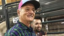 Bild von The Bill Murray Stories: Life Lessons Learned from a Mythical Man Trailer OV