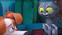 Bild von Pets 2 Max-Trailer OV