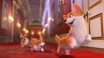 Bild von Royal Corgi - Der Liebling der Queen Trailer (2) OV