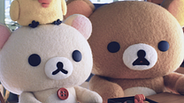 Bild von Rilakkuma und Kaoru Trailer (2) OV