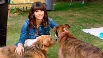 Bild von Dog Days - Herz, Hund, Happy End! Trailer DF