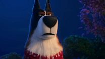 Bild von Pets 2 Rooster-Trailer OV