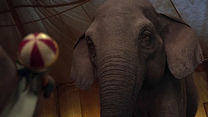 Bild von Dumbo Trailer (5) OV