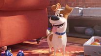 Bild von Pets 2 Trailer DF