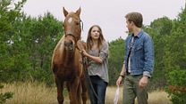 Bild von Pegasus Trailer OV