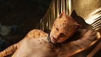 Bild von Cats Trailer DF