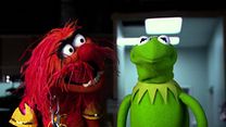 Bild von Die Muppets 2: Muppets Most Wanted Teaser OV