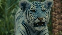 Bild von Der blaue Tiger Trailer DF