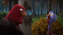 Bild von Free Birds Trailer DF