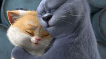 Bild von Cats Trailer DF