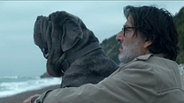 Bild von Der Hund bleibt Trailer (2) OV