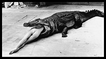 Bild von Helmut Newton - The Bad And The Beautiful Trailer OmdU