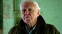 Bild von David Attenborough: Mein Leben auf unserem Planeten Trailer OmdU