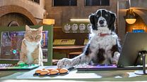 Bild von Cats & Dogs 3: Pfoten vereint! Trailer DF