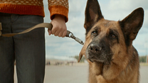 Bild von Ein Hund namens Palma Trailer OmeU