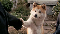 Bild von Hachiko - Eine wunderbare Freundschaft Trailer DF