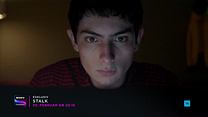 Bild von Stalk Trailer DF