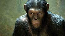 Bild von Planet der Affen: Prevolution Trailer DF