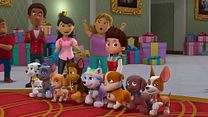 Bild von Paw Patrol: Jet to the Rescue - Rettung im Anflug Trailer DF
