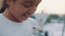 Bild von Kash Kash Trailer OmdU
