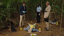 Bild von Death In Paradise - staffel 12 Trailer OV