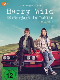 Harry Wild - Mörderjagd in Dublin