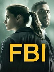 FBI: Special Crime Unit