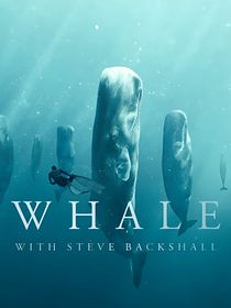 Wale mit Steve Backshall