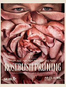 Bild von Rosebush Pruning Trailer DF