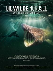 Bild von Die wilde Nordsee - Natur, die sich nicht zähmen lässt Trailer DF