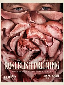 Bild von Rosebush Pruning Trailer DF