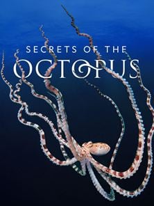 Die geheimnisvolle Welt der Oktopusse Trailer (2) OV STDE
